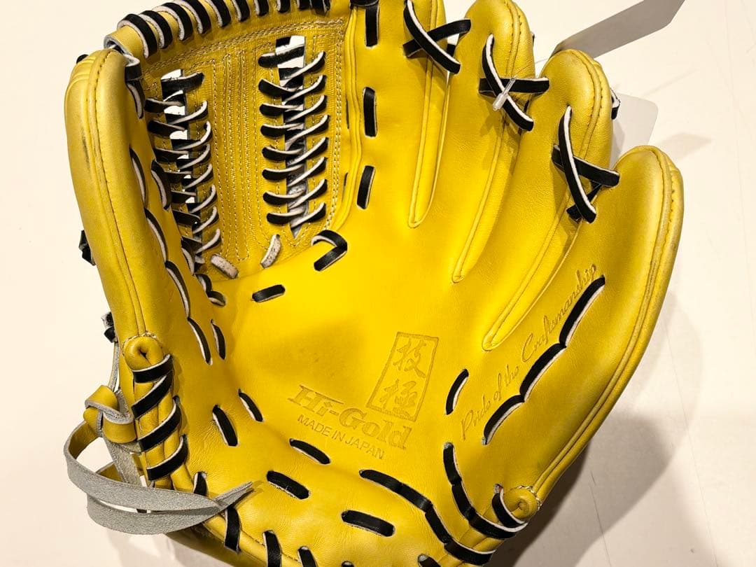 新品ハイゴールド HI-GOLD 【技極】硬式グローブ