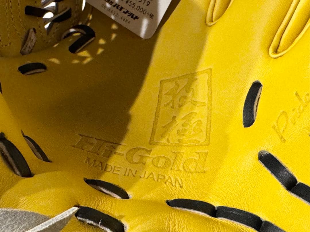 新品ハイゴールド HI-GOLD 【技極】硬式グローブ