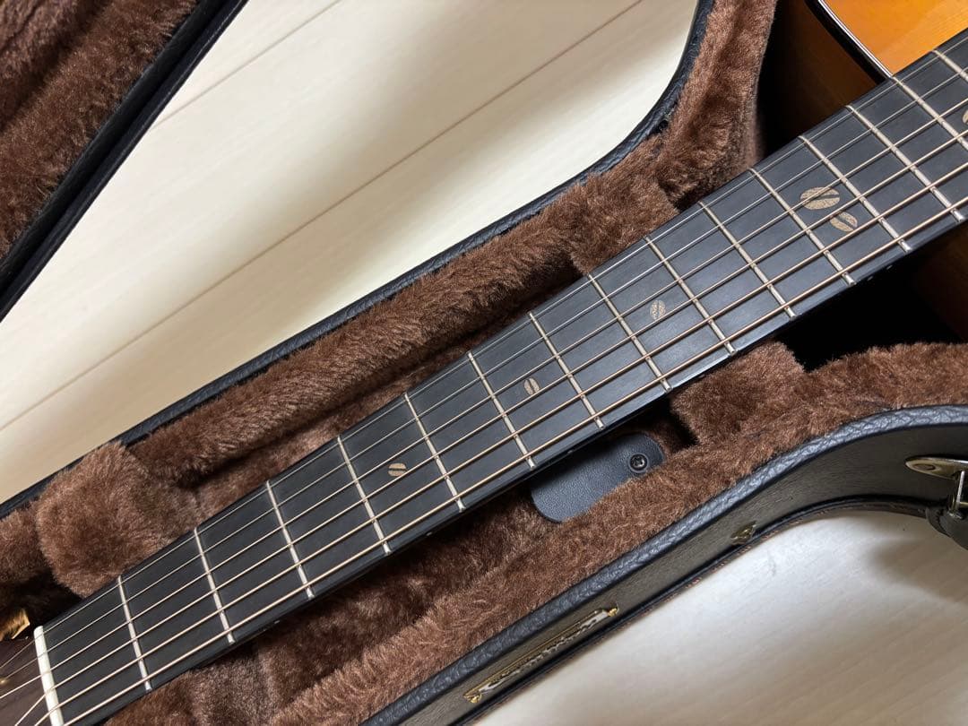 ギター Headway HD-531 Coffee SF.S/STD CLB