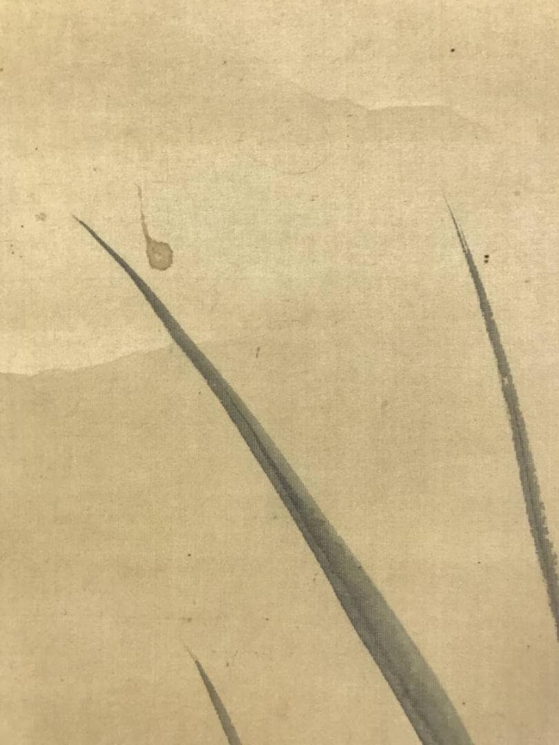 真作/中島来章/川辺群魚図/花鳥図/掛軸/名家伝来AE-398