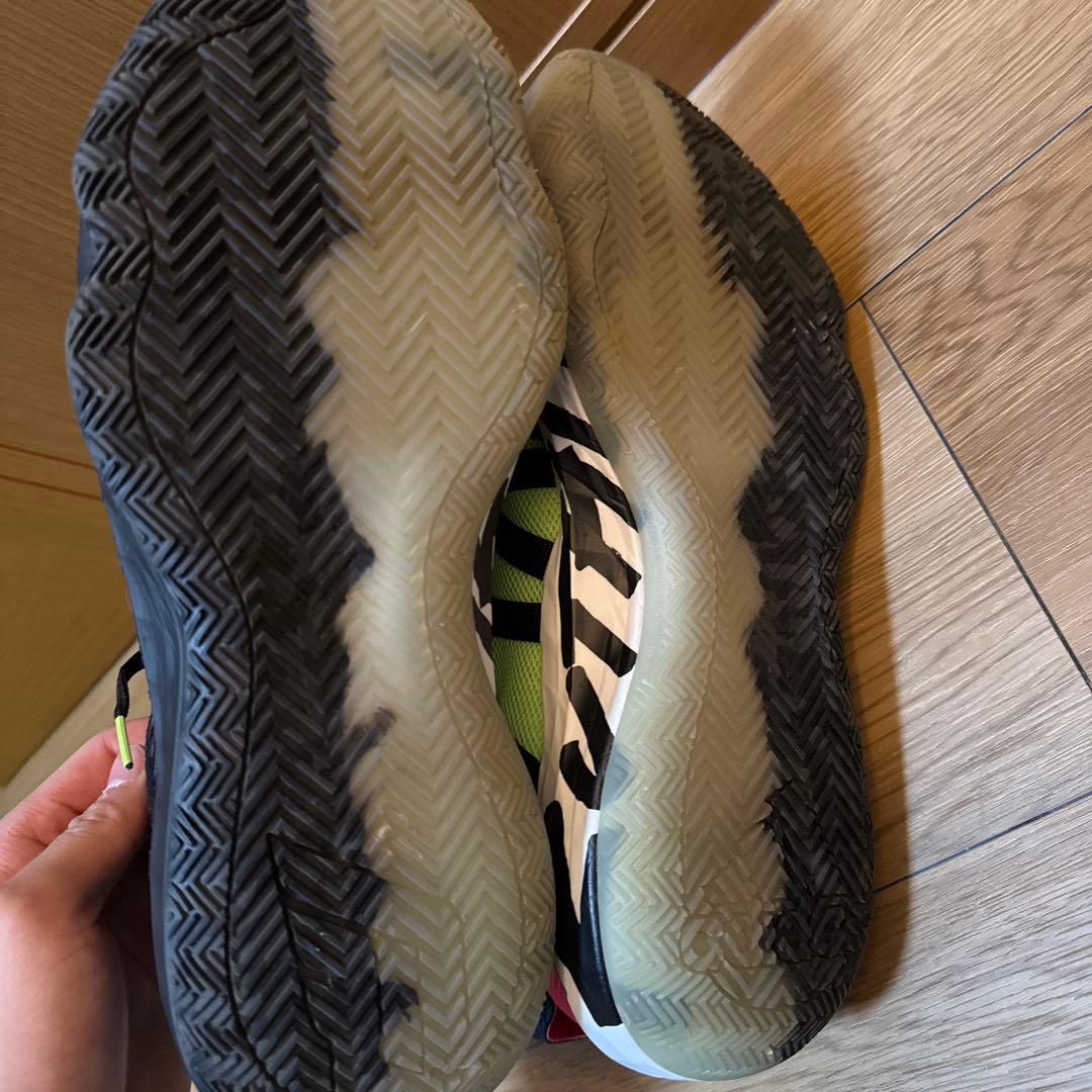 adidas Dame 6 デイム6 31cm 美品 バッシュ 大きいサイズ
