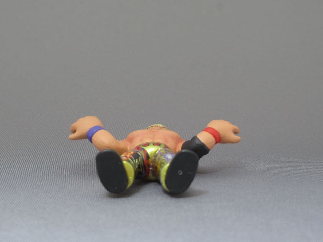 プロレス　消し　オカダ・カズチカ