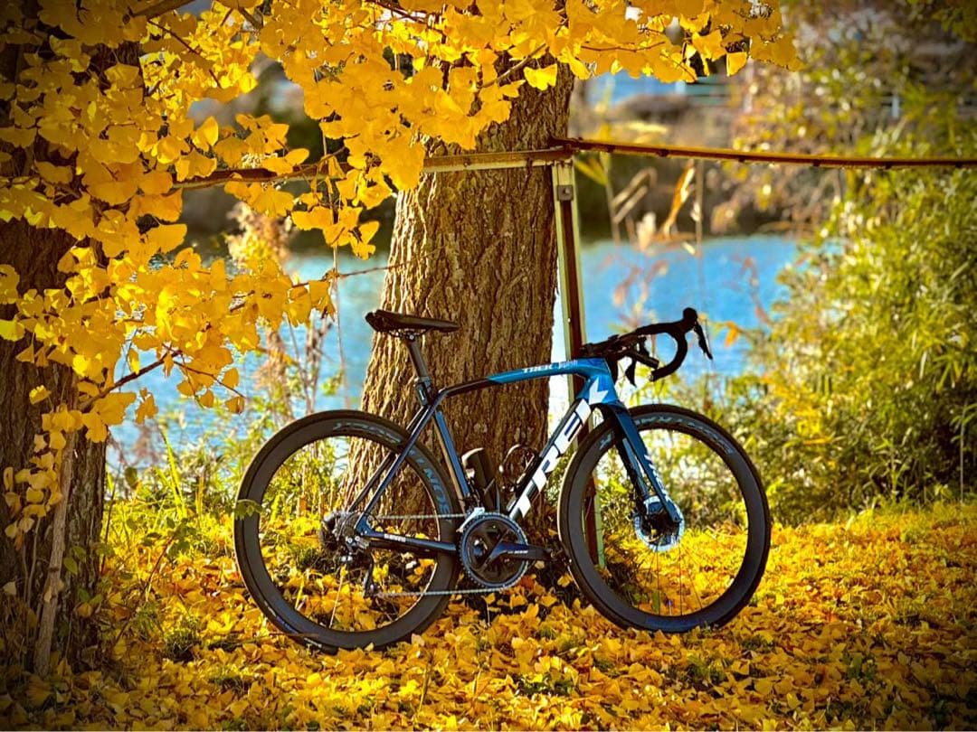 自転車本体 TREK emonda SL5 105