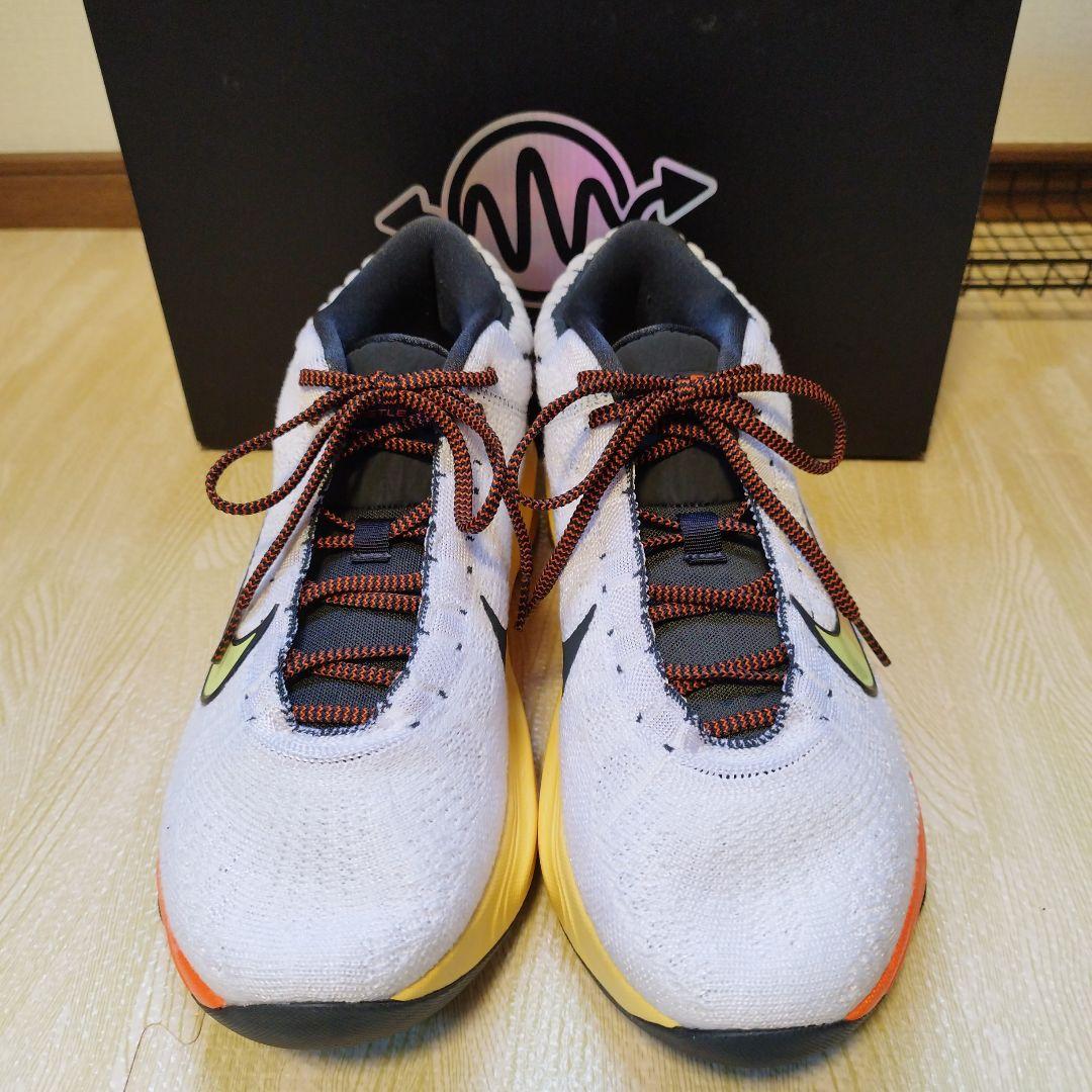 NIKE GT ハッスル3 EP 29cm