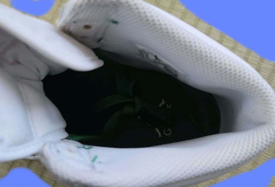 シューズ(男性用) JORDAN1 golf RIC GREEN 28cm used