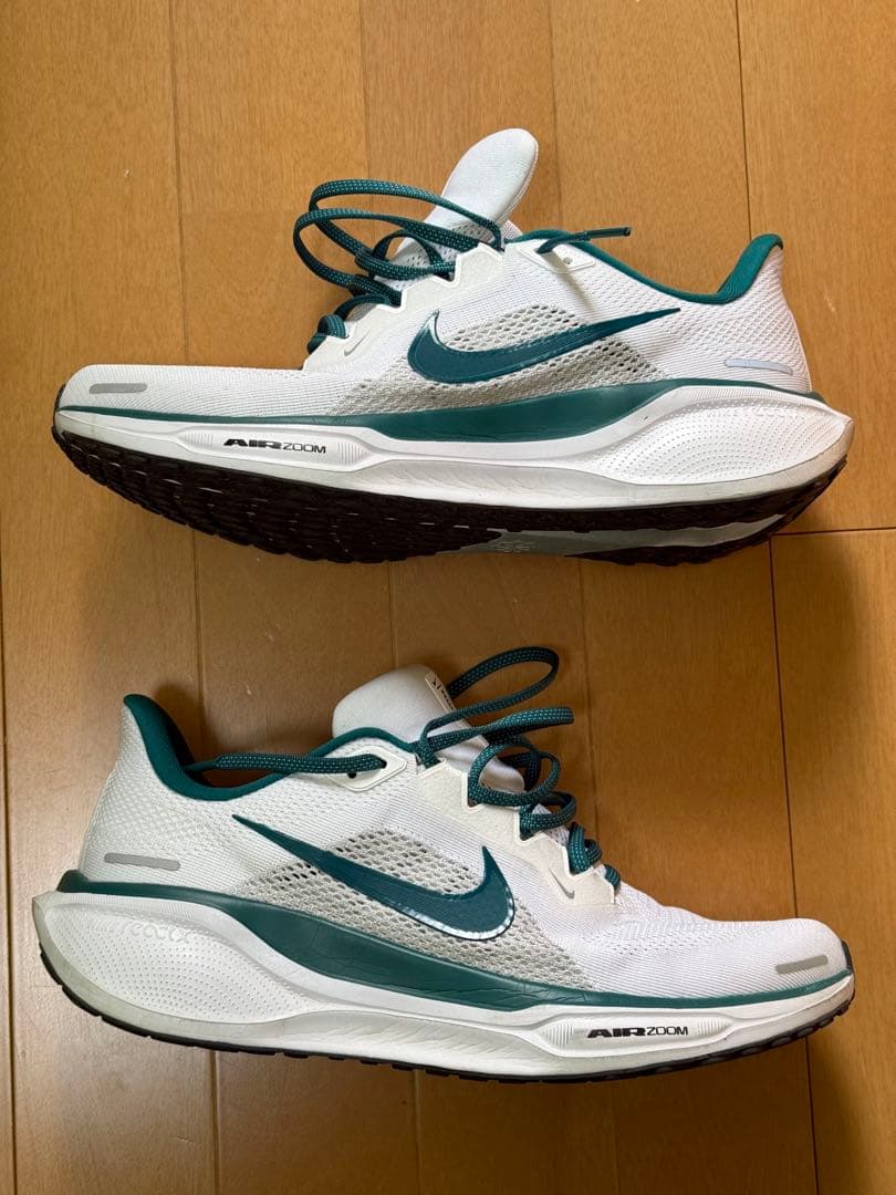 Nike Air Zoom Pegasus 41【26.5cm】