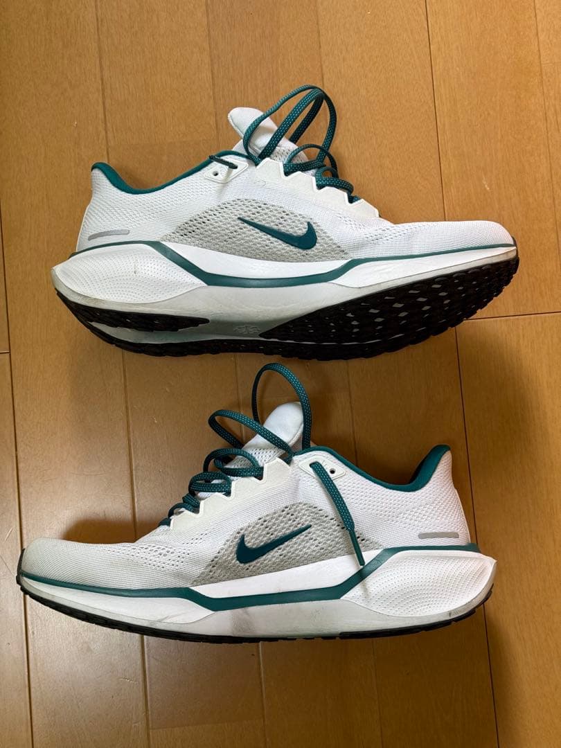Nike Air Zoom Pegasus 41【26.5cm】