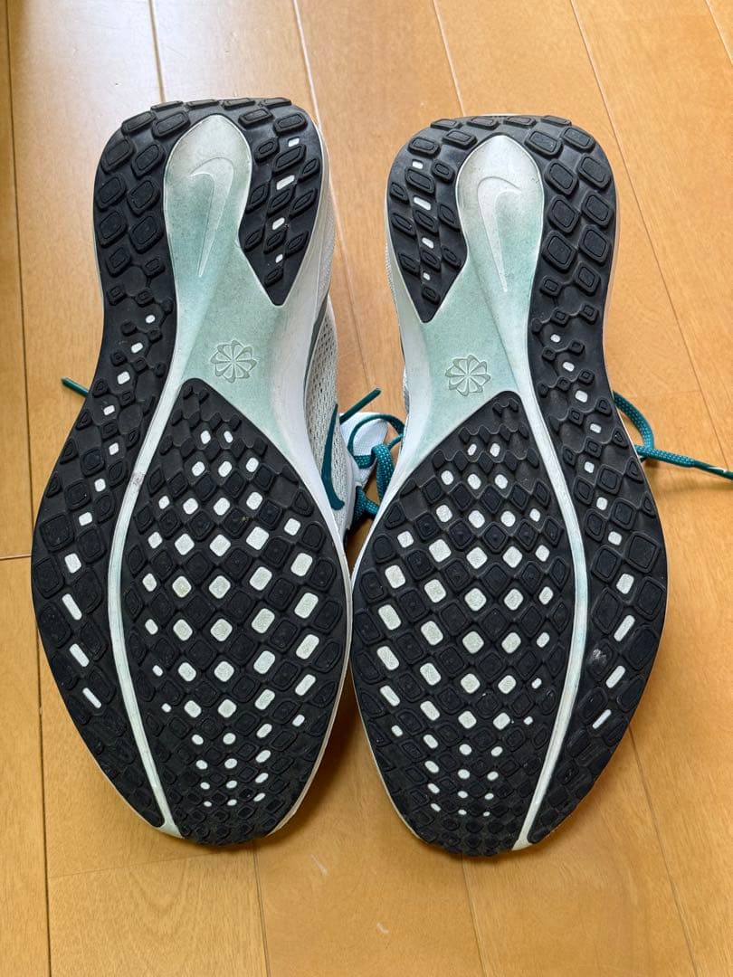 Nike Air Zoom Pegasus 41【26.5cm】