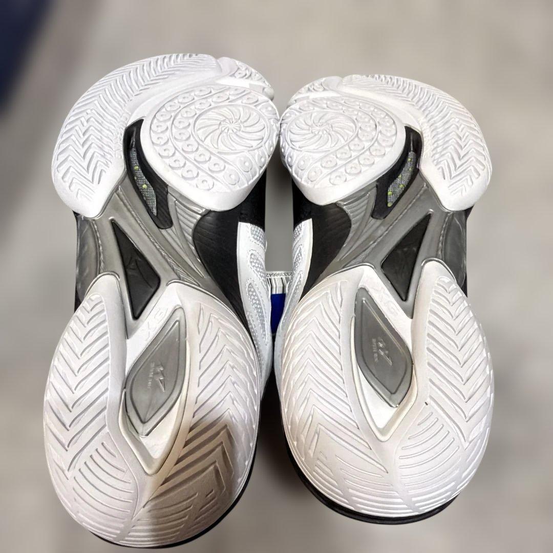 MIZUNO ウエーブクロー ワイド バドミントンシューズ 25cm