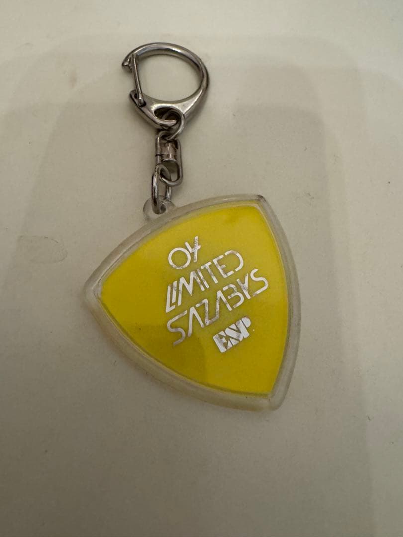 04limited sazabys フォーリミテッドサザビーズ GEN ピッグ