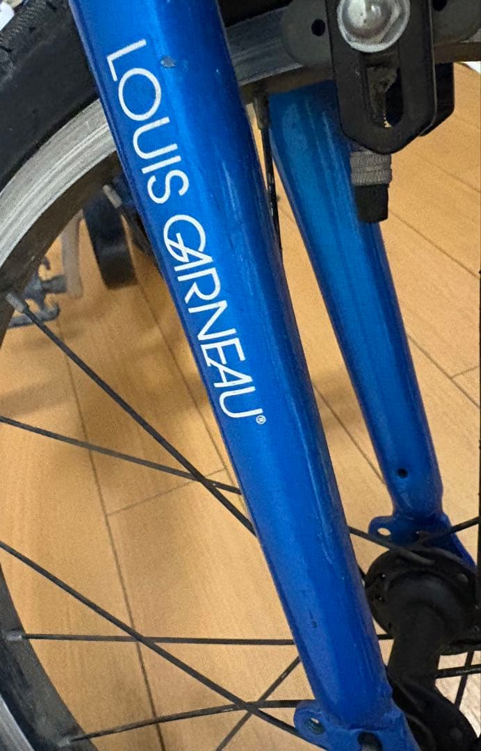 LOUIS GARNEAU ルイガノ　キッズバイク 青　18インチ