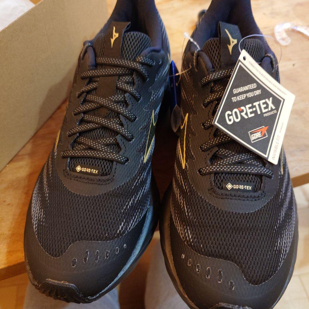その他 Mizuno Wave Rider GTX 2 25.5cm