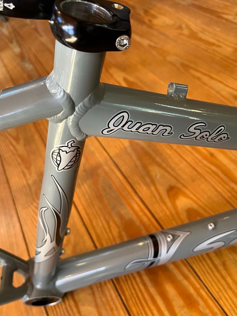 Salsa Jan Solo 26インチシングルスピードMTBフレーム16インチ