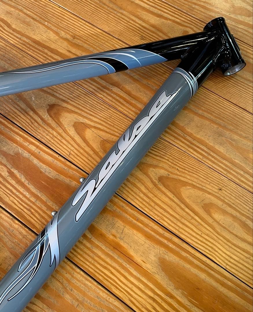 Salsa Jan Solo 26インチシングルスピードMTBフレーム16インチ