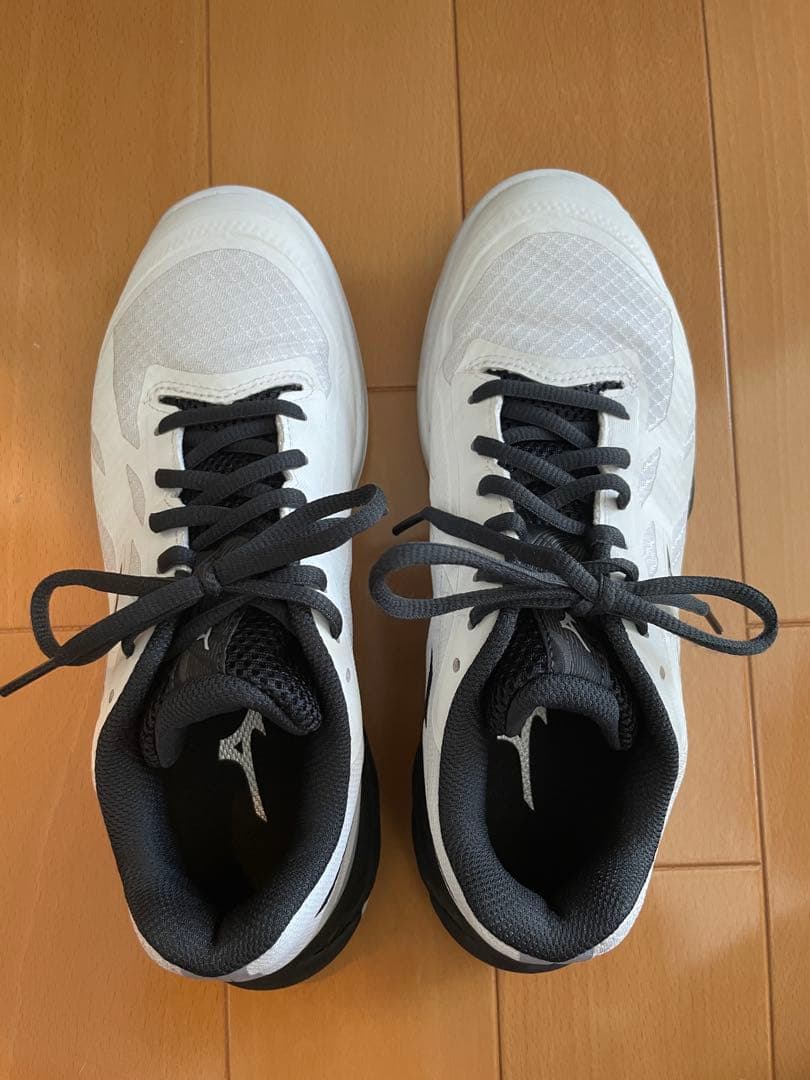 MIZUNOミズノ　ウエーブファングEL2 バドミントンシューズ　24.0cm