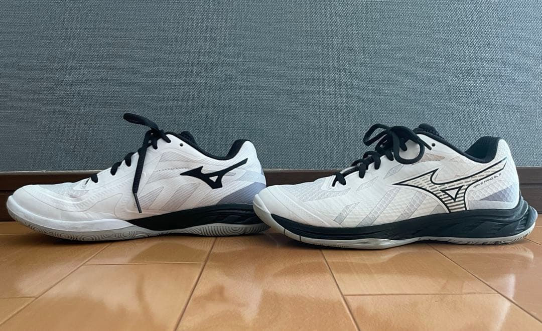 MIZUNOミズノ　ウエーブファングEL2 バドミントンシューズ　24.0cm