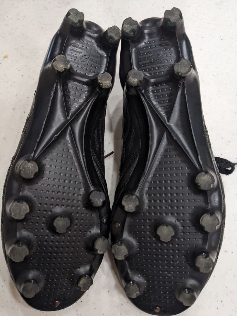 【25.0】asics DSライトx-fly4 JAPANブラック