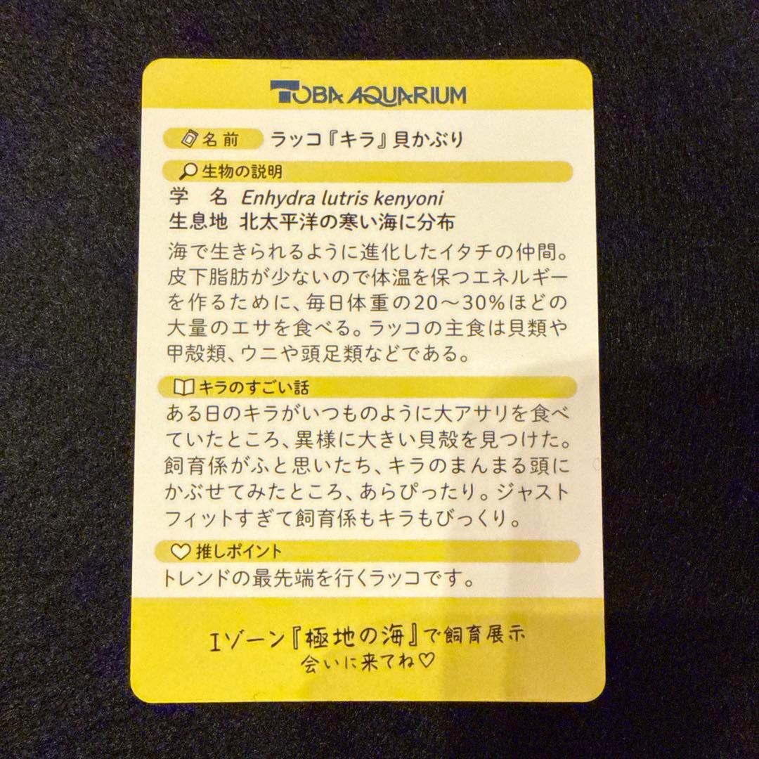 鳥羽水族館70周年　カード　キラ　レア