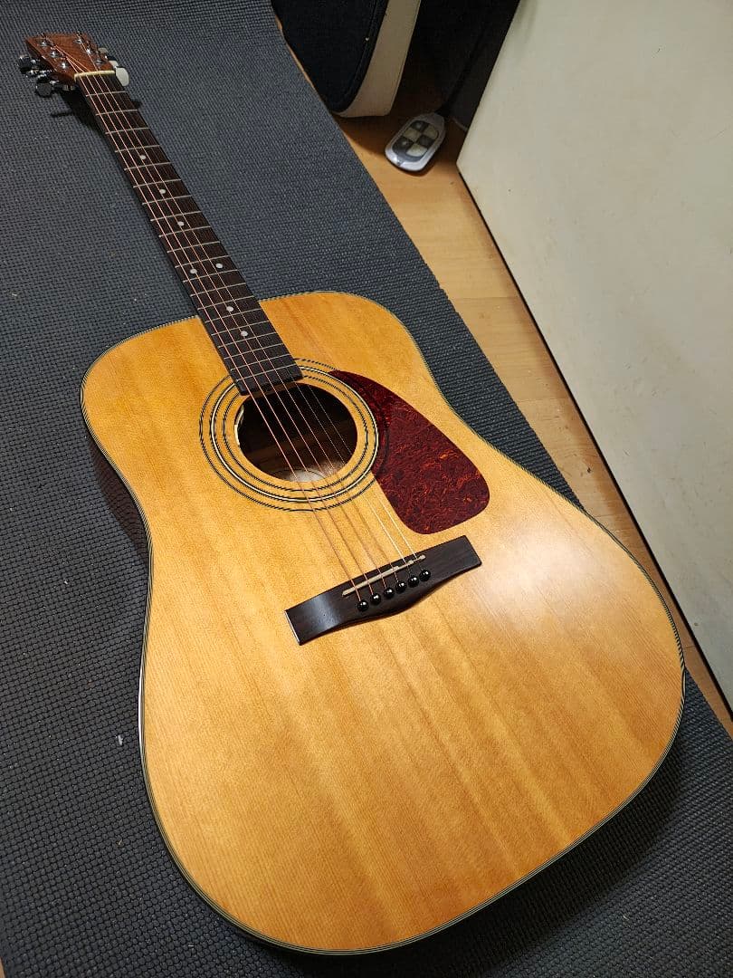 Fender DG20S NATエレアコCustom/ハードケース付