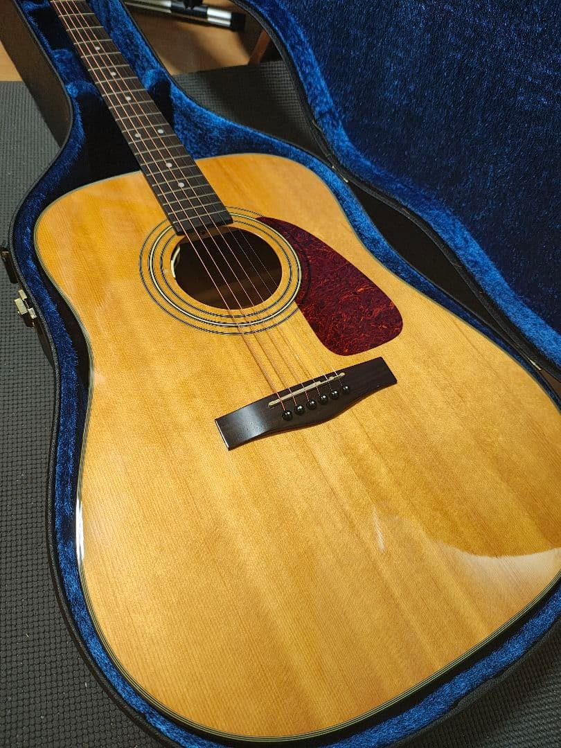 Fender DG20S NATエレアコCustom/ハードケース付