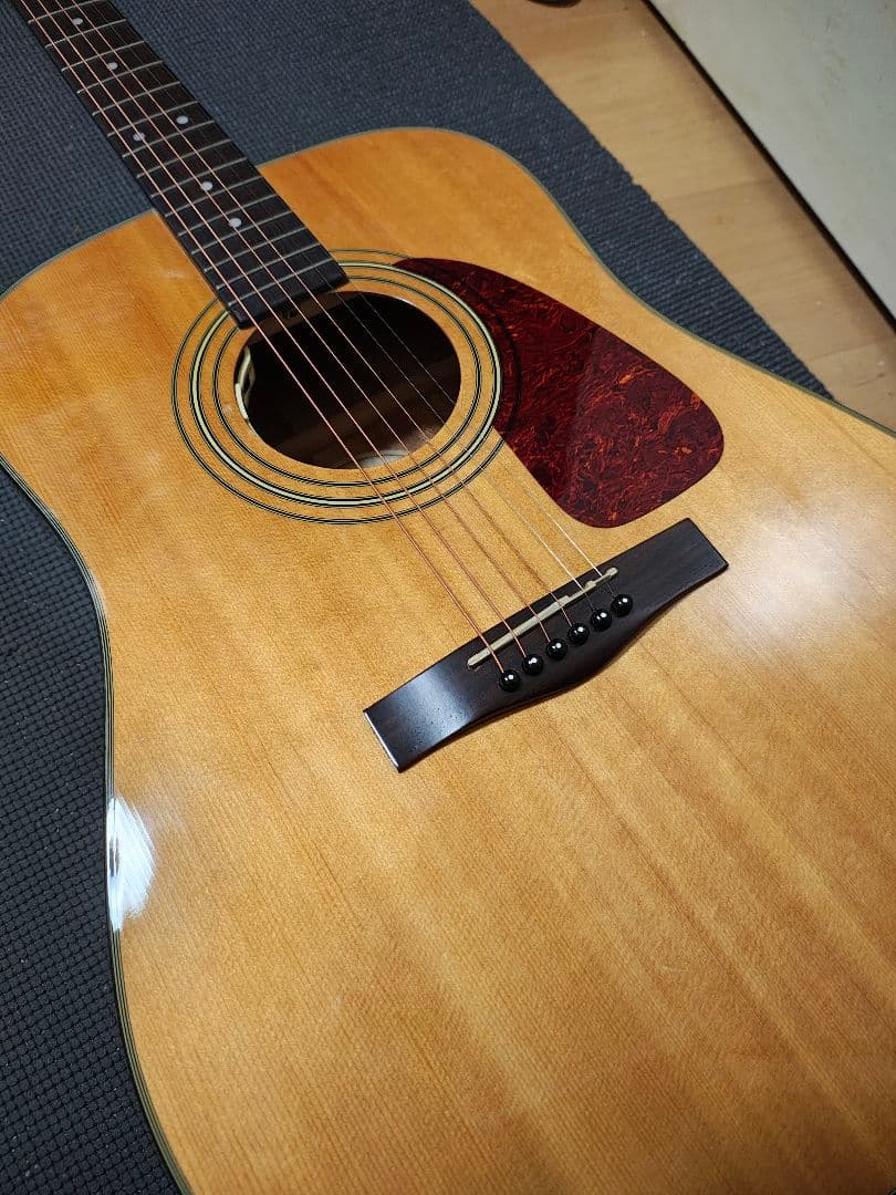 Fender DG20S NATエレアコCustom/ハードケース付
