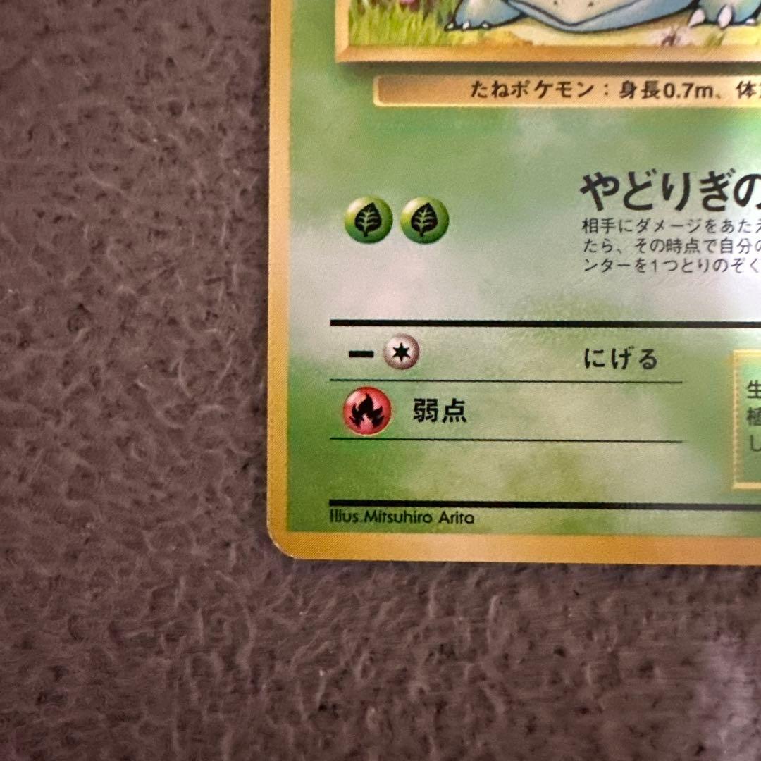 ポケモンカード 旧裏 初版 フシギダネ LV.13 HP40 草タイプ