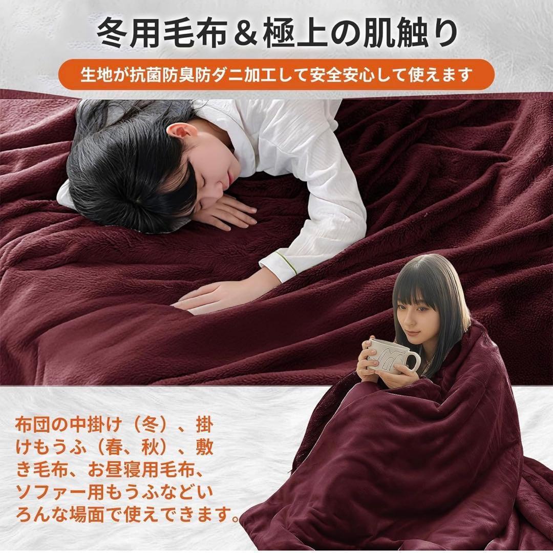 2枚セット 極厚 あったか二枚合わせ毛布 シングル 発熱蓄熱 抗菌防臭 防ダニ