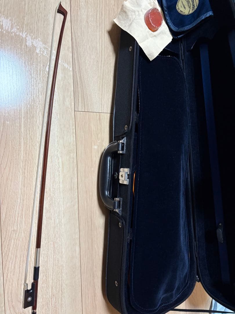 分数バイオリン 2022年製 Eastman VL80 1/2バイオリン本体