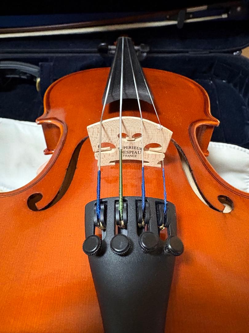 分数バイオリン 2022年製 Eastman VL80 1/2バイオリン本体