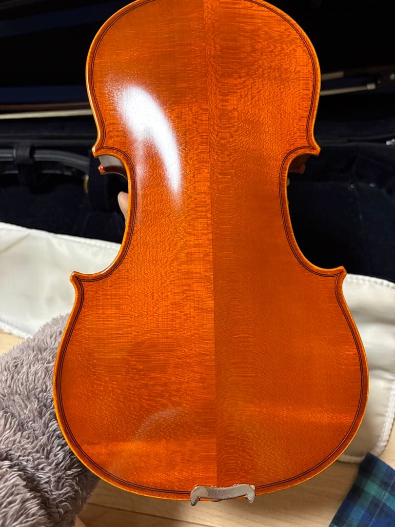 分数バイオリン 2022年製 Eastman VL80 1/2バイオリン本体