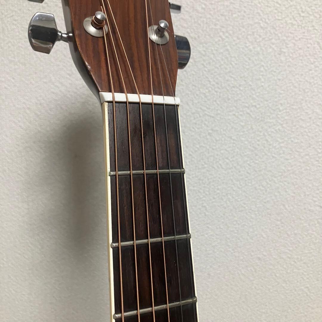 【弦新品】モーリスW-20 楕円幌馬車ラベル アコースティックギター