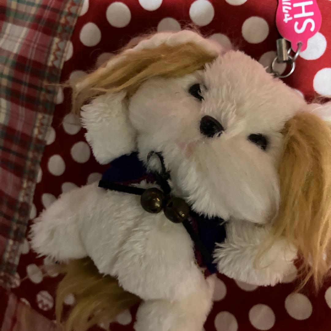 犬ぬいぐるみ シーズー鈴付き 約15cmヤクルトshe'sシーズ　懸賞　非売品