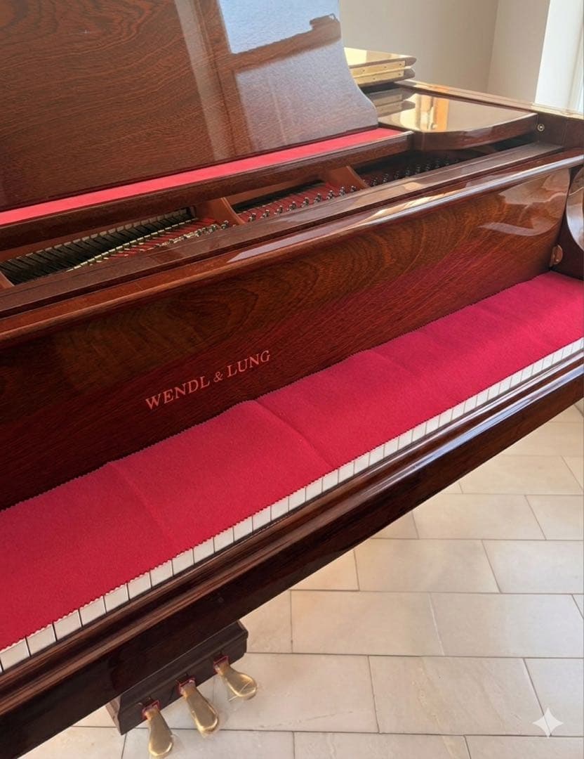 WENDL & LUNG AG-151CW グランドピアノ