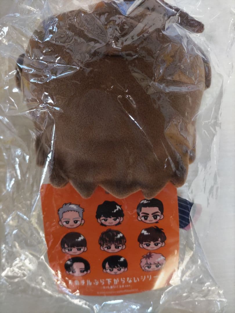 man すのチルぶら下がらないシリーズBIGぬいぐるみ　向井康二