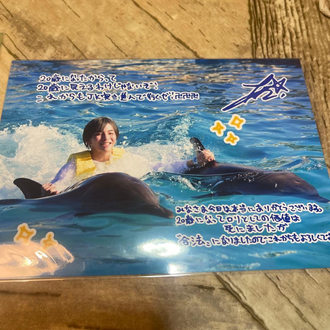あおい 生誕 2019 2L