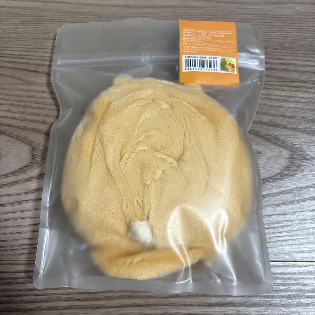RIIZEソンチャン ペンライトカバー ウラッバム FANLIGHT CAPE