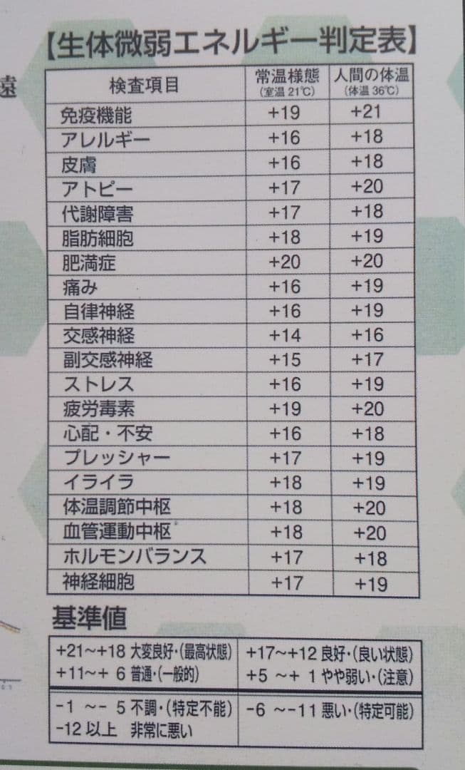 限定品大特価ブラックシリカ・遠赤ベッドパッド 100cm×160㎝