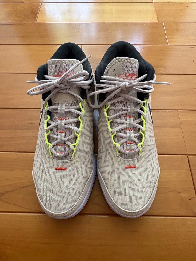 NIKE ナイキ　バッシュ レブロン NXXT ジーニサス　26.0