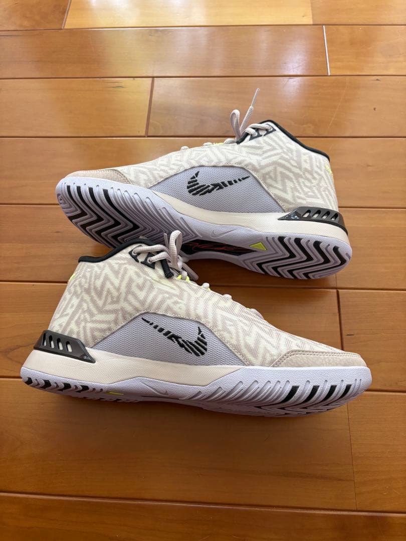 NIKE ナイキ　バッシュ レブロン NXXT ジーニサス　26.0