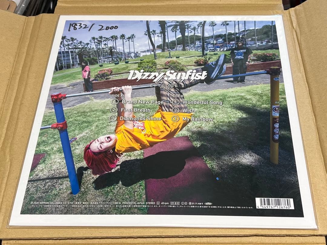 Dizzy Sunfist 完全数量限定版　レコード　CD