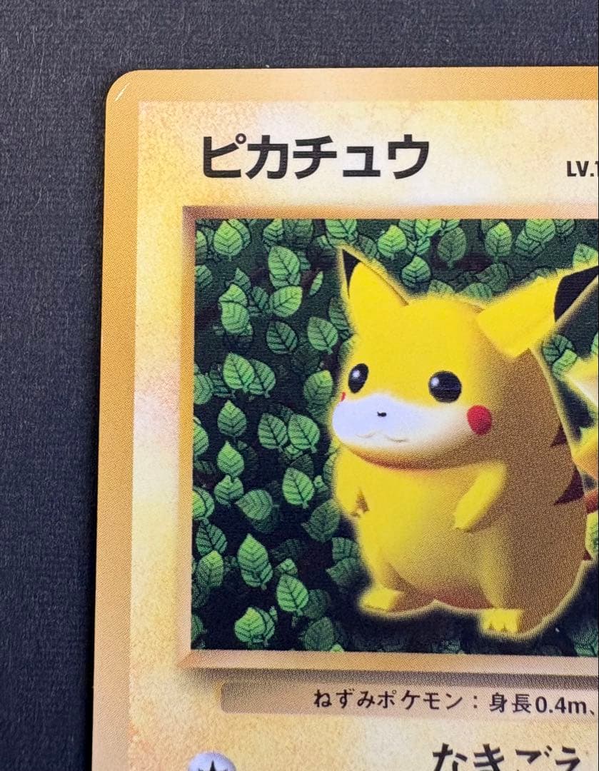 ピカチュウ 旧裏 コロコロコ プロモ 光沢有りKen Sugimori