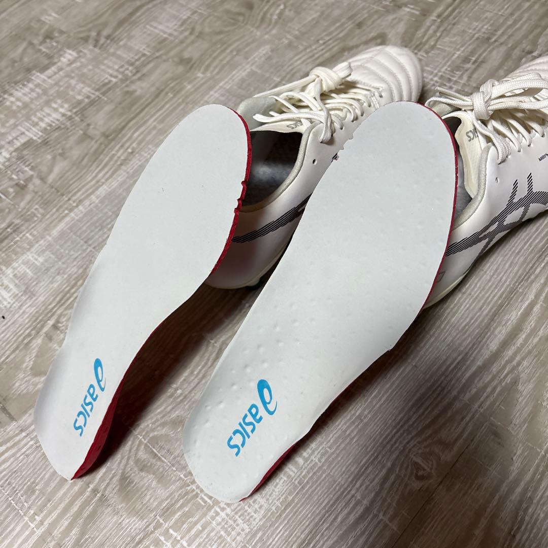 アシックス　DS LIGHT X-FLY PRO 25.0cm