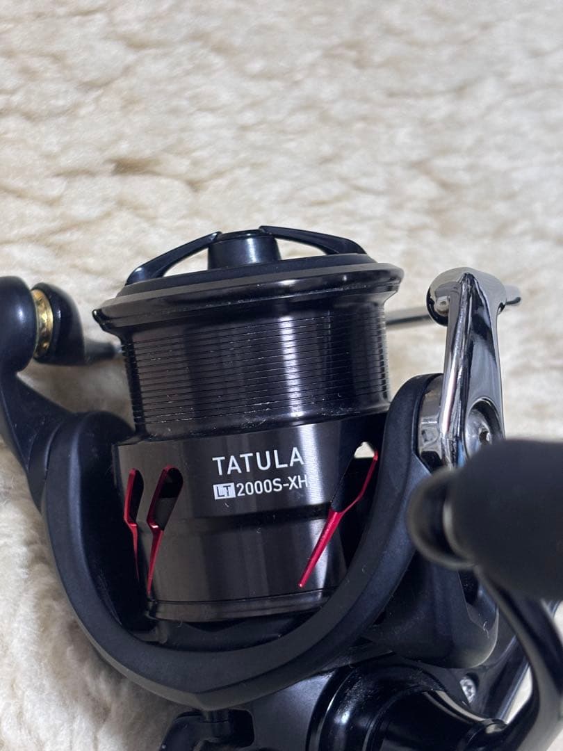 ダイワ　Daiwa タトゥーラ　TATULA LT 2000S-XH