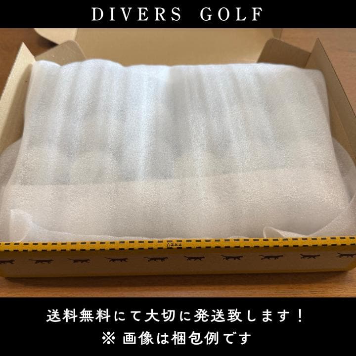 ✨超美品✨ S級 ロストボール 24球 タイトリスト Pro V1 2023年
