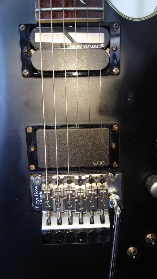 SCHECTER　DAMIEN PLATINUM-6FR-S