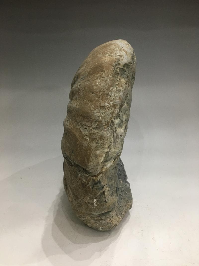 特大アンモナイト化石 約34cm 18.5kg モロッコ産 大型標本