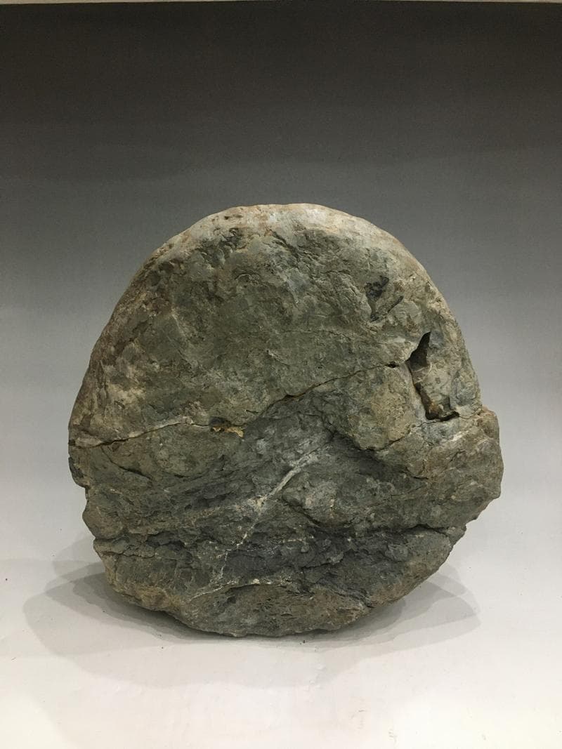 特大アンモナイト化石 約34cm 18.5kg モロッコ産 大型標本