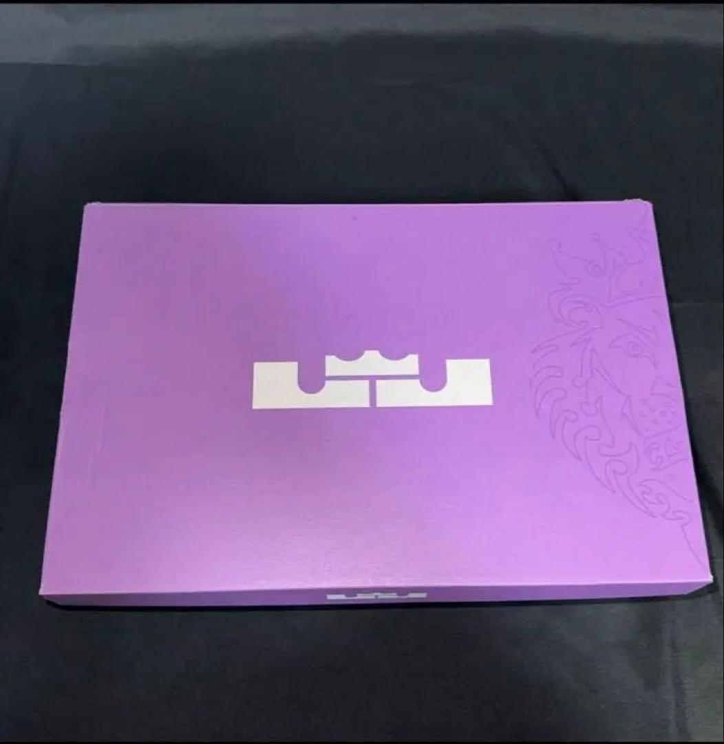 ナイキ LeBron Witness 8 EP レブロンウィットネス26.5cm
