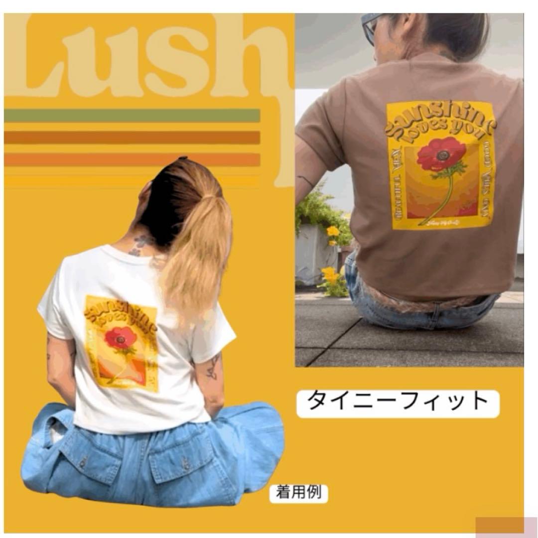 完売品！新品未開封 CHARAチャララッシュライフTシャツ カード入り