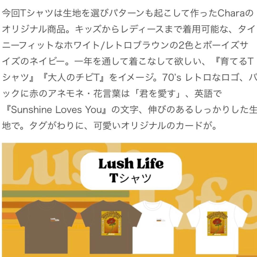 完売品！新品未開封 CHARAチャララッシュライフTシャツ カード入り
